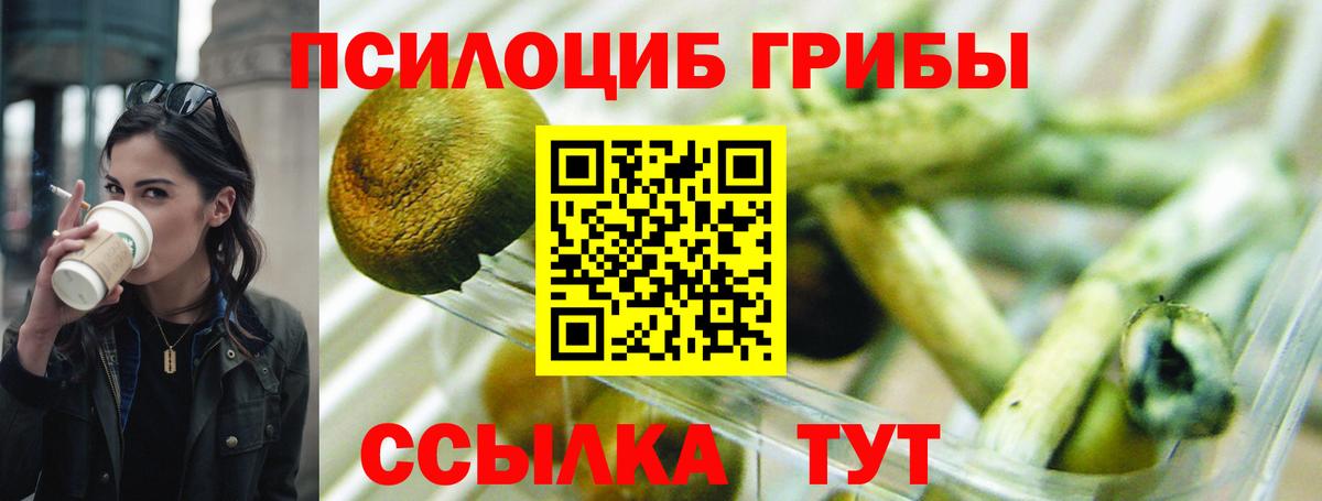 Псилоцибиновые грибы ЛСД  Вход с VPN  Новокубанск 